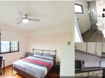 Property media
