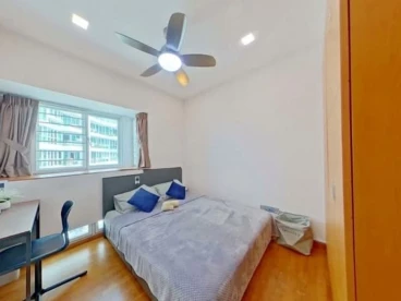 Property media