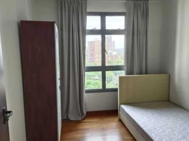 Property media