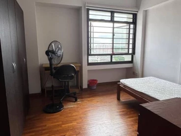 Property media