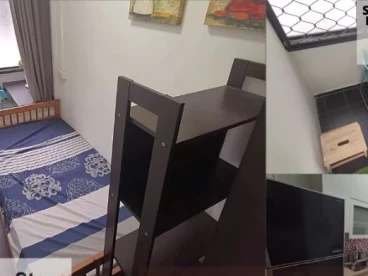 Property media