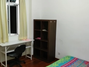 Property media