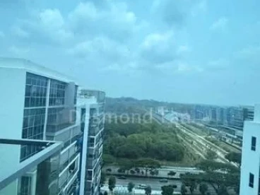 Property media