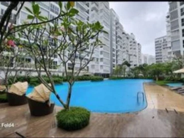 Property media