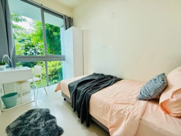 Property media
