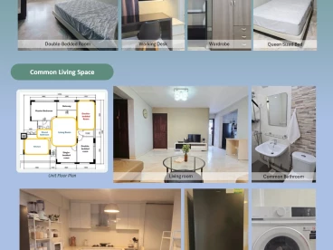 Property media