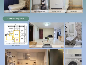 Property media
