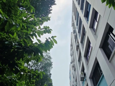 Property media