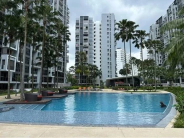 Property media