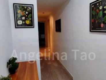 Property media