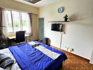 Property media