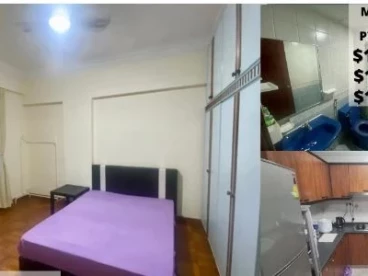 Property media