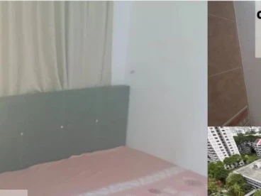 Property media