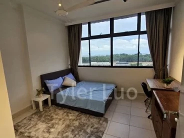 Property media