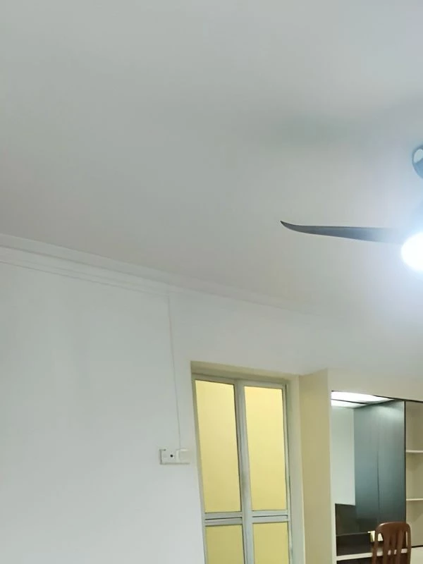 Property media