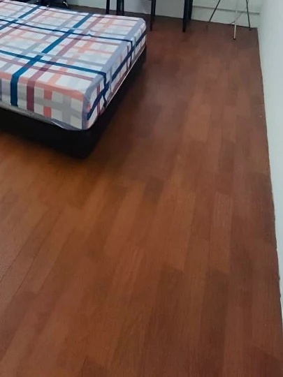 Property media